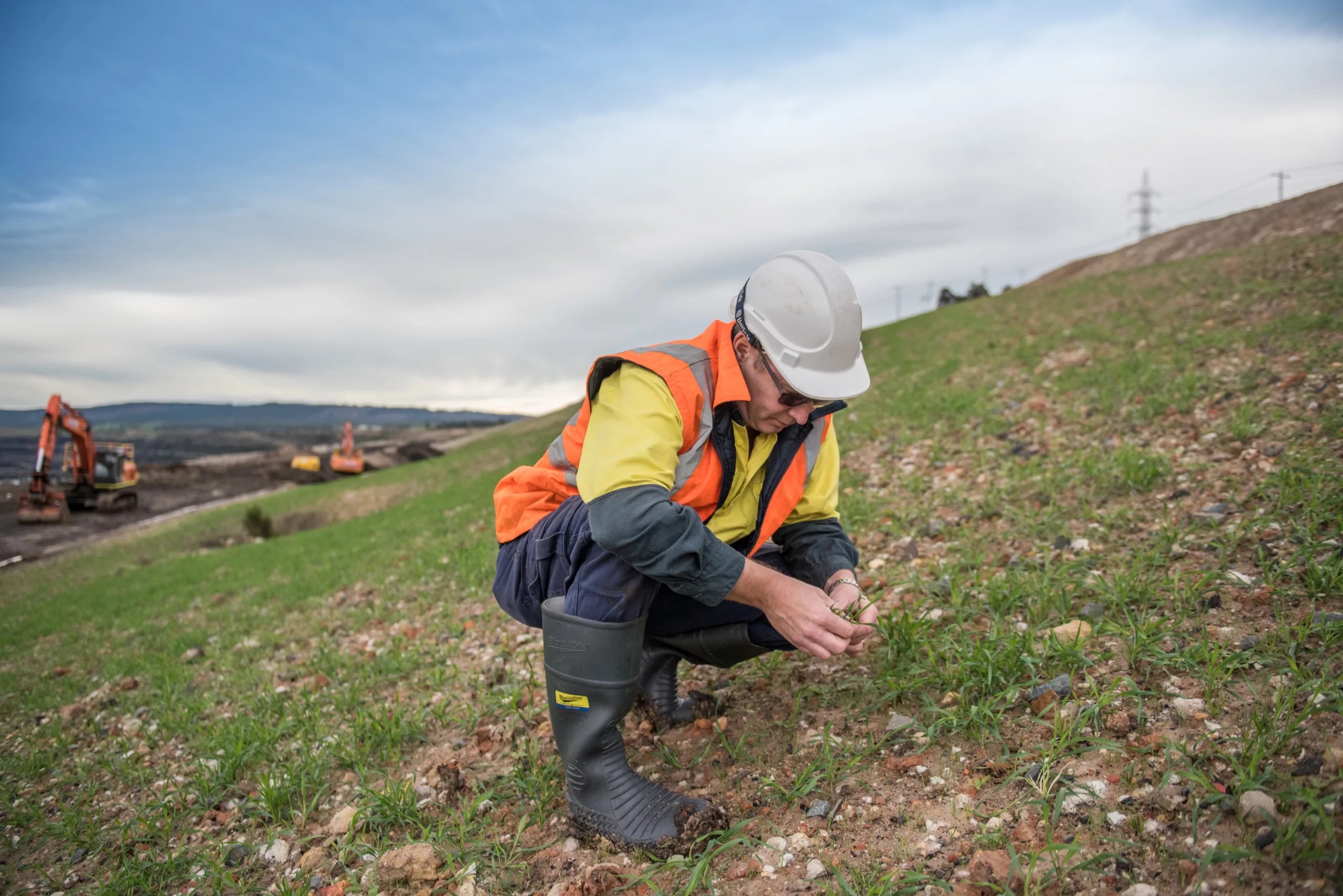 Engineer inspecting grass sampled from the soil around the Hazelwood mine