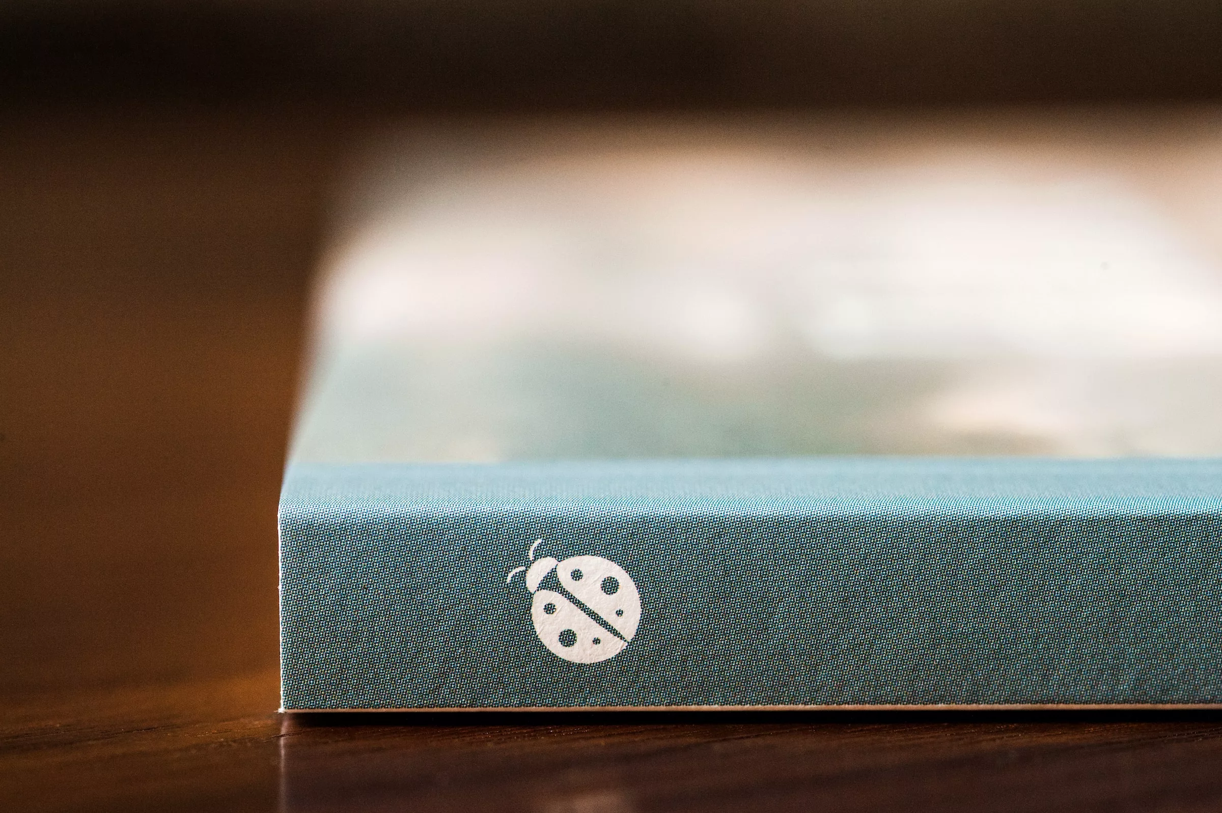  A close up, soft focus view of a aqua coloured book spine, stamped with a white ladybird beetle logo