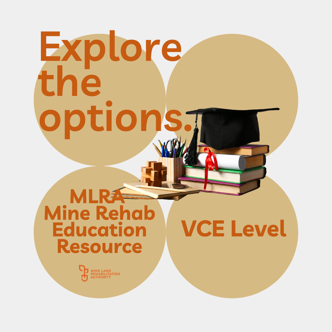 VCE Level